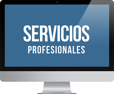 servicios profesionales